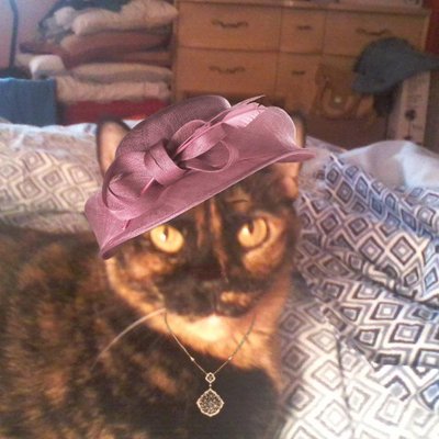Profile Picture of Norma Parrish (@Norma58566844) on Twitter