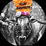 Profile Picture of வேலுார்_மஞ்சுவிரட்டு😎 (@vellore_manjuvirattu_official) on Instagram