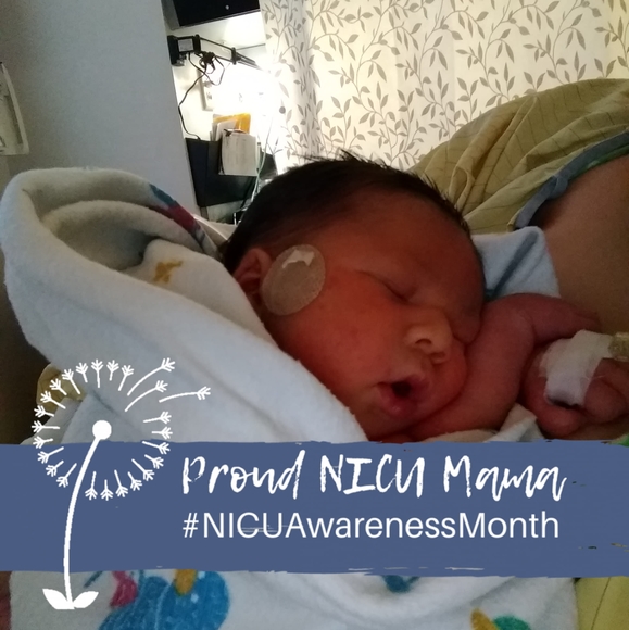 Profile Picture of Corina Kasmarcik (@corinakasmarcik) on Poshmark