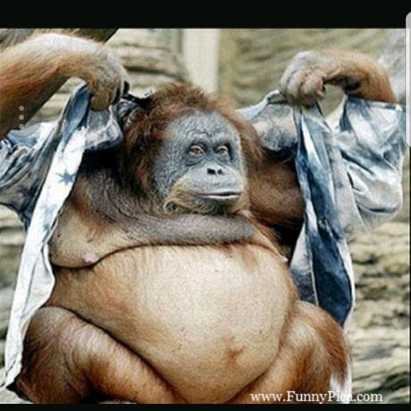 Profile Picture of Rudy Medrano (@rudawg1990) on Poshmark