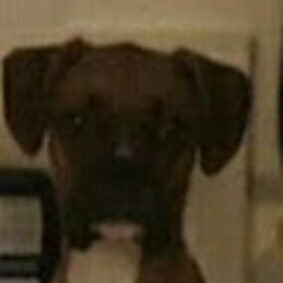 Profile Picture of Drew Andrews (@boston1394) on Poshmark