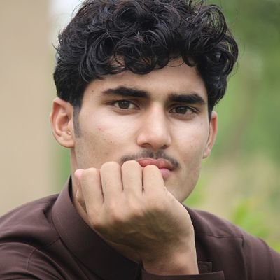 Profile Picture of Shahin Shah (@ShahinS93489296) on Twitter