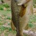 Profile Picture of Todd Shifflett (@todd.shifflett.31) on Facebook