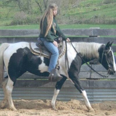 Profile Picture of Sandra Hookham (@sandyhookham) on Twitter