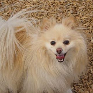 Profile Picture of Andrew B. Van Welter (@andrew.vanwelter) on Facebook