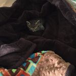 Profile Picture of Danielle (@danny_beeler07) on Instagram