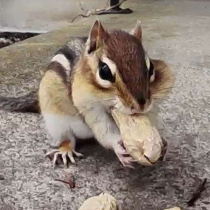 Profile Picture of Stephen Janowski (@stephenj329) on Tiktok