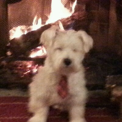 Tyler Hein - Twitter Profile Picture of Tyler Hein (@Thein57) on Twitter