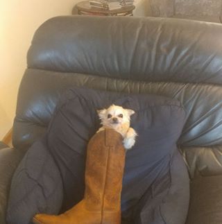 Profile Picture of Dona Borghardt (@dona.borghardt) on Facebook