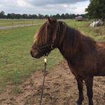 Profile Picture of Michael Spicher (@spicher64) on Instagram