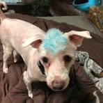 Profile Picture of Ruth Harshman (@ruth.harshman.5) on Facebook