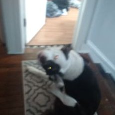 Profile Picture of Christopher DeLong (@Christo96806170) on Twitter