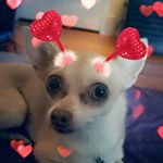 Profile Picture of Ester Moore (@mariestormcrow) on Instagram