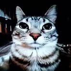Profile Picture of Dwight Daniel Mallari (@dwight.mallari.77) on Facebook