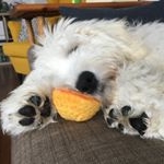 Profile Picture of Martin (@mr.martin.doodle) on Instagram