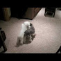 Profile Picture of MindyFreeman (@@MindyFreeman) on Tiktok