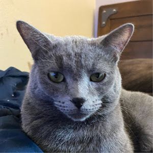Profile Picture of matthewtolle55 (@matthewtolle55) on Tiktok