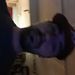 Profile Picture of matthew p ostrander (@matthewpostrander) on Pinterest