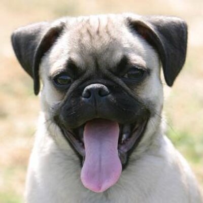 Profile Picture of Seth Burroughs (@sethburr) on Twitter