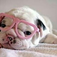 Profile Picture of Andreia Domingos (@andreiadomi2015) on Pinterest