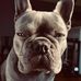 Profile Picture of Michael Robb (@michael.robb.71) on Facebook