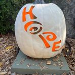 Profile Picture of Lisa Hoyt (@lisa.hoyt.522) on Facebook