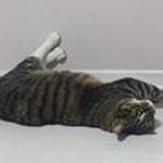 Profile Picture of 최요섭 (@hp01076631274) on Instagram