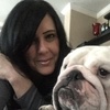 Profile Picture of Stacey Bernstein Morton (@@my5bullies) on Tiktok