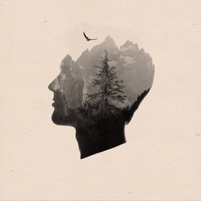 Profile Picture of Andrew Holzschuh (@AndrewHolzschuh) on Twitter