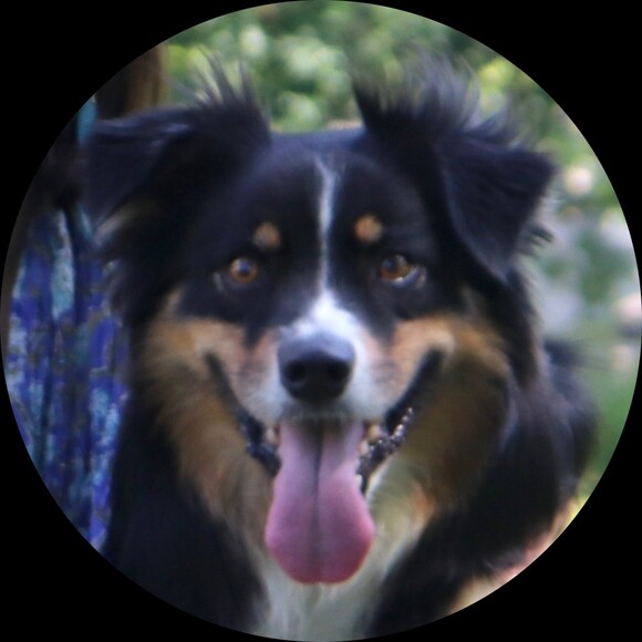 Profile Picture of Rhea Larson (@rdl1845) on Poshmark