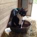 Profile Picture of Barbara Concannon (@barbara.concannon.3) on Facebook