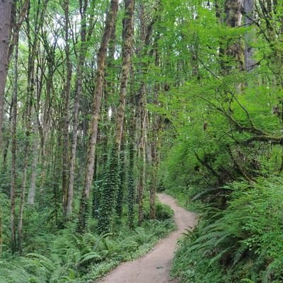 Profile Picture of Mark Hoppe (@wowwelivehere) on Twitter