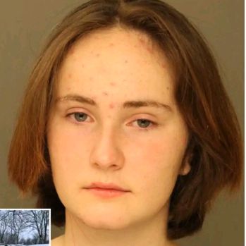 claire miller's tiktok archive - Tiktok Profile Picture of claire miller's tiktok archive (@clairemiller.archive) on Tiktok