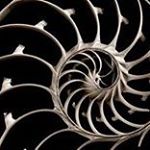 Profile Picture of Carlos Faustino (@carlos_m_m_faustino) on Instagram