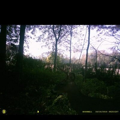 Profile Picture of Jeremy Seitz (@jeremy_seitz) on Twitter