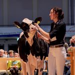 Profile Picture of Lorä🐄🍻 (@lorina.schenk) on Instagram