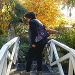 Profile Picture of Lizzy Campa?a Bedwell (@lizzycampa?abedwell) on Flickr