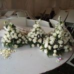 Profile Picture of Beth Masengo (@Beth-Masengo) on Facebook