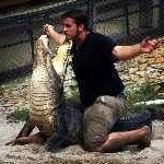 Andy Riffle - Instagram Profile Picture of Andy Riffle (@andy_gatorboys) on Instagram