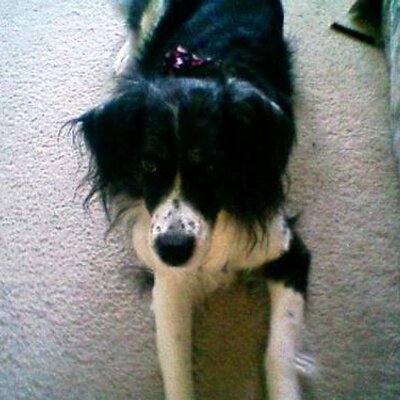 Profile Picture of Richard L Fulton (@RichardFulton) on Twitter