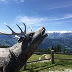 Profile Picture of Markus Häffner (@haeffi74) on Instagram