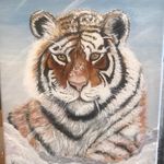 Profile Picture of Bryan Steele (@bryan.steele) on Instagram