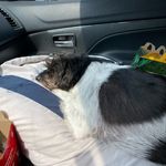 Katelyne Kovach - Instagram Profile Picture of Katelyne Kovach (@kwhybark) on Instagram