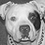 Profile Picture of Jessica Foster (@jessimarie33) on Flickr