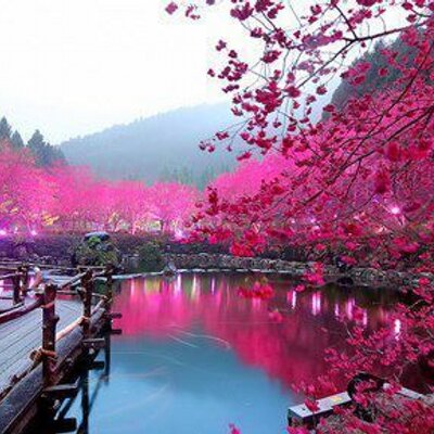 Profile Picture of Sadaf Ashraf (@SadafAshraf) on Twitter