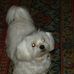 Profile Picture of Pat Ramsden (@pat.ramsden.79) on Facebook