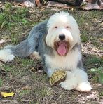 Profile Picture of Stacy Chapman (@stacy.chapman.775) on Facebook