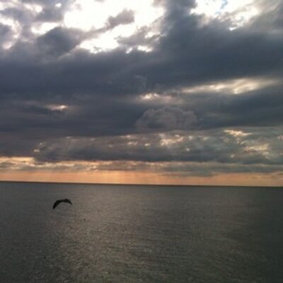 Profile Picture of John Vannoy (@javannoy) on Twitter