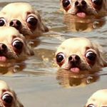 Profile Picture of Tyler Goodman (@that_one_sexy_ginger) on Instagram