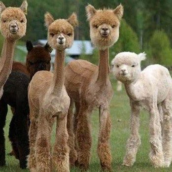 Profile Picture of Jean Eckley (@Crakker61) on Twitter